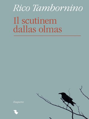 cover image of Il scutinem dallas olmas